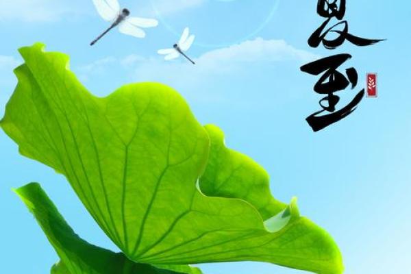 夏至：阳光养生，感受自然魅力