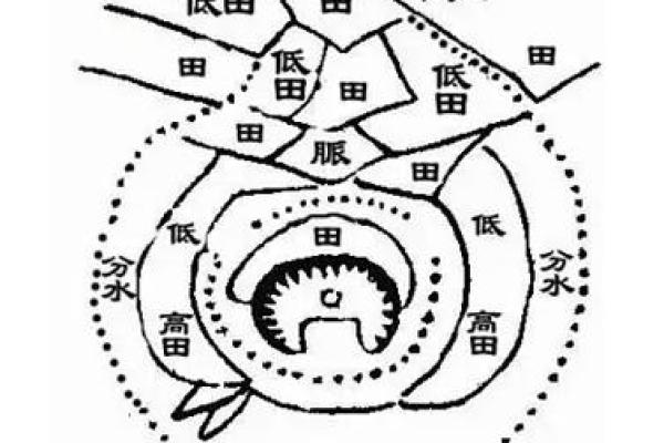 稻穗低垂的智慧：五行格局反而能助你事业腾飞？