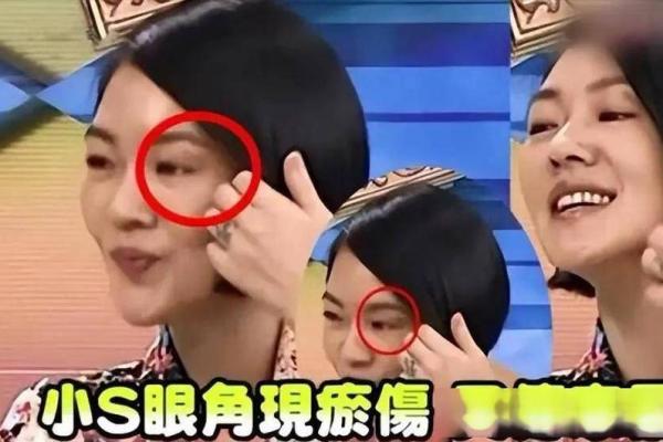小S的命运颠覆分析：暗藏玄机如何让她一路走红