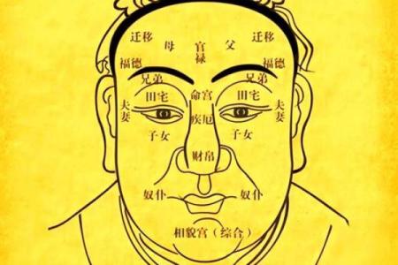 钟汉良命运密码大揭秘：八字如何影响他的星途与人生