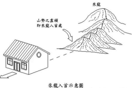 羽翼飞扬的五行格局：揭秘你的性格潜能
