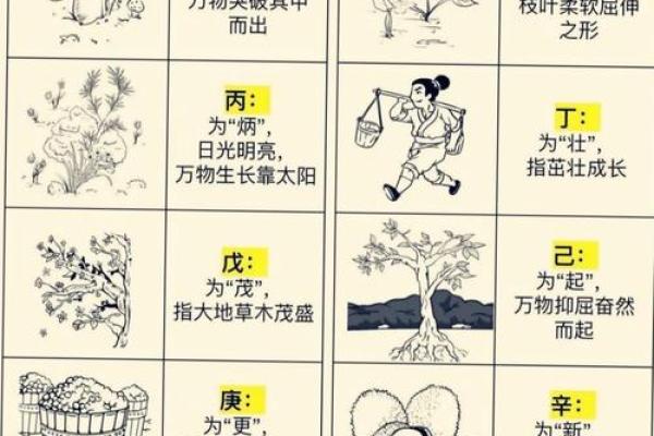 五行格局如何影响你的感情？深度解析你的性格与感情走向