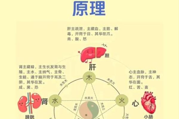 五行格局解析：如何对症下药，改善你的性格弱点？