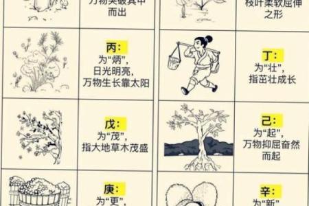 五行格局如何影响你的感情？深度解析你的性格与感情走向