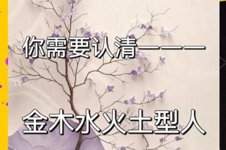 颠覆传统五行观念：暗影五行格局，揭秘你的神秘性格