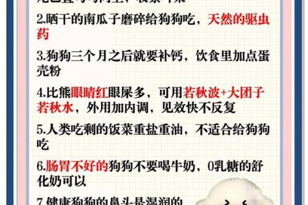 五行格局下的狗狗性格解析:反而这样做,宠物更健康快乐 五行格局下的狗狗性格解析:反而这样做,宠物更健康快乐