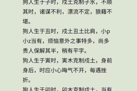 狗年宝宝的命运密码:你忽视的关键因素可能颠覆一生