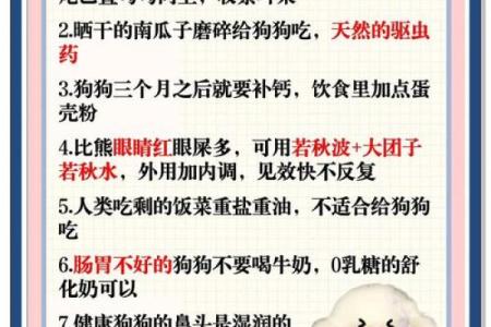 五行格局下的狗狗性格解析:反而这样做,宠物更健康快乐