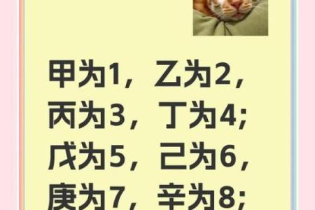 五行格局在车牌号中的运用:如何改变你的性格命运?