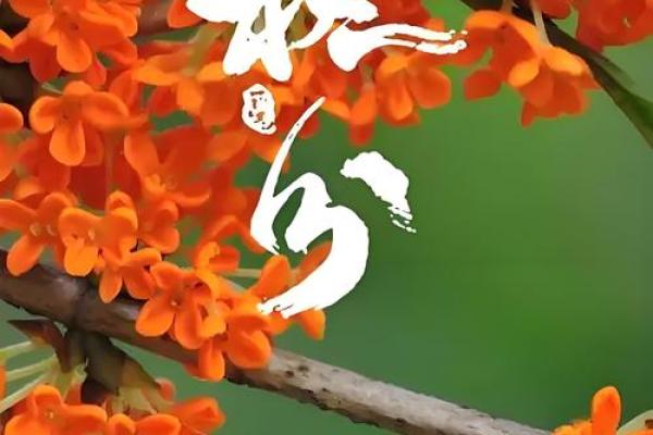 秋分:平衡养生,迎接丰收季 秋分:平衡养生,迎接丰收季
