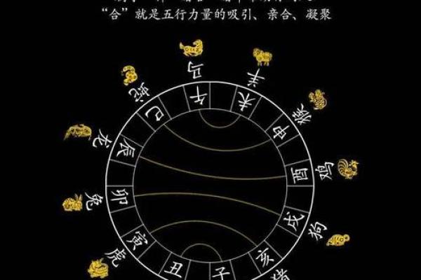 如何改变五行格局?揭秘生肖性格的转型之道 如何改变五行格局?揭秘生肖性格的转型之道