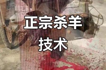 91年羊五行误区大揭秘:颠覆传统认知,教你如何正确改变
