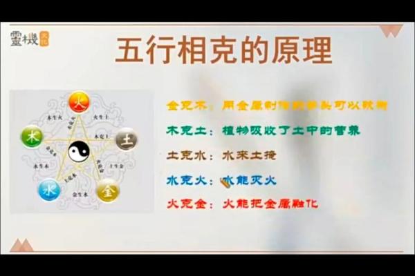 误区颠覆:水土相克?破解五行性格的常见误解 误区颠覆:水土相克?破解五行性格的常见误解