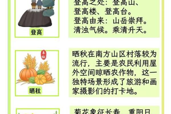 阳节:登高望远,弘扬尊老爱老文化 阳节:登高望远,弘扬尊老爱老文化