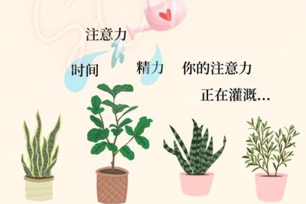 朱炳锟命理:颠覆你认知的命运密码 朱炳锟命理:颠覆你认知的命运密码