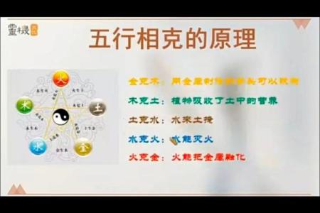 误区颠覆:水土相克?破解五行性格的常见误解
