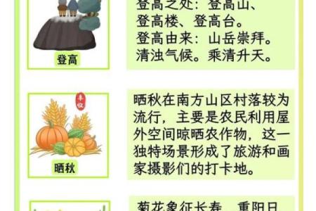 阳节:登高望远,弘扬尊老爱老文化