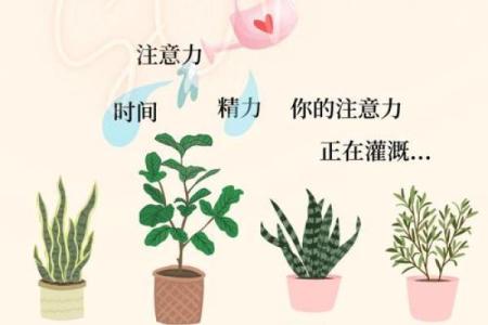 朱炳锟命理：颠覆你认知的命运密码
