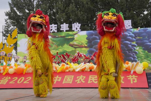 纳西的丰收节:感恩自然与庆祝丰收的传统活动 纳西的丰收节:感恩自然与庆祝丰收的传统活动
