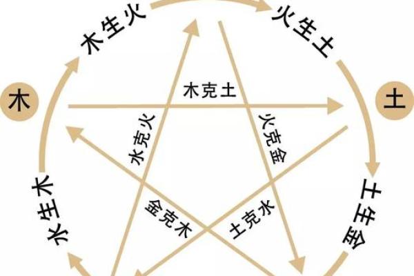 五行格局揭秘:鸣之性格解析,如何洞察你的内在力量? 五行格局揭秘:鸣之性格解析,如何洞察你的内在力量?