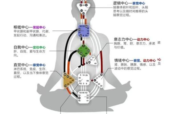 五行格局揭秘:鸣之性格解析,如何洞察你的内在力量? 五行格局揭秘:鸣之性格解析,如何洞察你的内在力量?