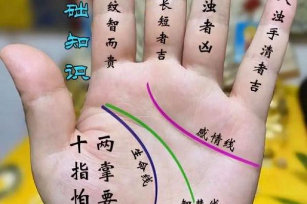 手掌厚命理:命运密码揭示你的未来,如何破解手相误区 手掌厚命理:命运密码揭示你的未来,如何破解手相误区