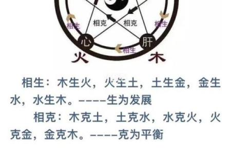 雕属五行格局:揭秘你的性格密码,如何提升五行运势?