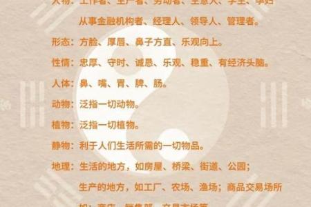 纳甲五行格局揭秘:性格解析的神秘之门