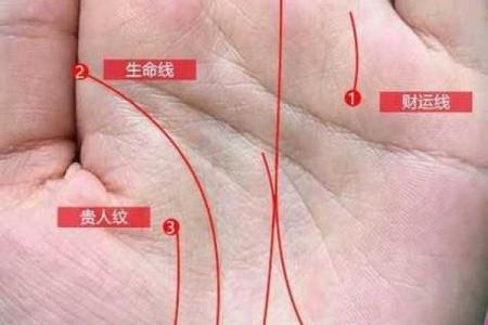 手掌厚命理:命运密码揭示你的未来,如何破解手相误区