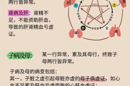 悦在五行格局揭秘:性格解析助你找到快乐之源
