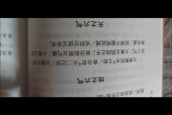 宁的五行格局颠覆传统,性格解析反而助你逆风翻盘 宁的五行格局颠覆传统,性格解析反而助你逆风翻盘