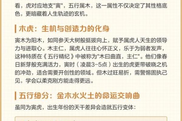 性格解析新视角：五行格局中的命运密码