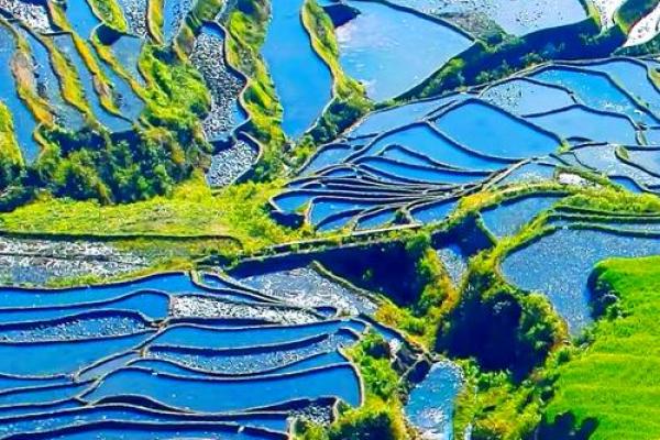 哈尼梯田节:丰收庆典,探索哈尼文化底蕴 哈尼梯田节:丰收庆典,探索哈尼文化底蕴