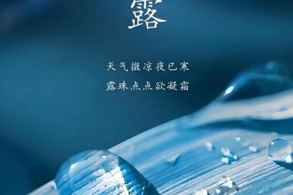 寒露:品秋养生,感悟自然变迁 寒露:品秋养生,感悟自然变迁