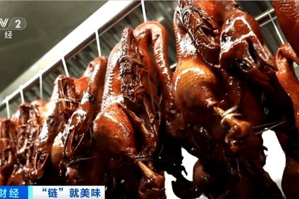 鹅五行属金?揭秘如何改变鹅的五行格局,提升运势 鹅五行属金?揭秘如何改变鹅的五行格局,提升运势