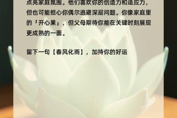 五行格局新视野:莲花之属揭示你的潜在性格力量 五行格局新视野:莲花之属揭示你的潜在性格力量