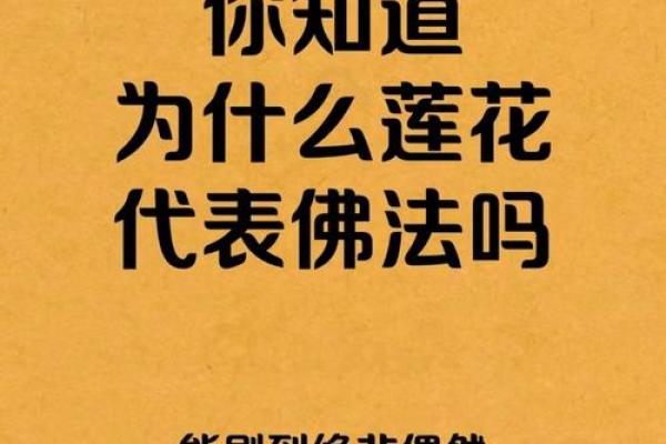 五行格局新视野:莲花之属揭示你的潜在性格力量 五行格局新视野:莲花之属揭示你的潜在性格力量