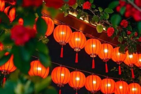 元宵：花灯映照，感悟团圆与自然之美