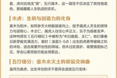 性格解析新视角:五行格局中的命运密码