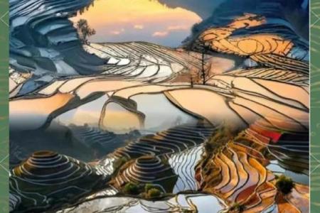 哈尼梯田节：丰收庆典，探索哈尼文化底蕴