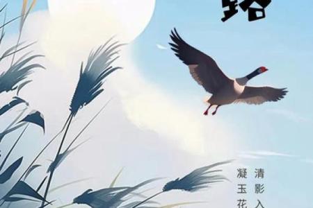 寒露：品秋养生，感悟自然变迁