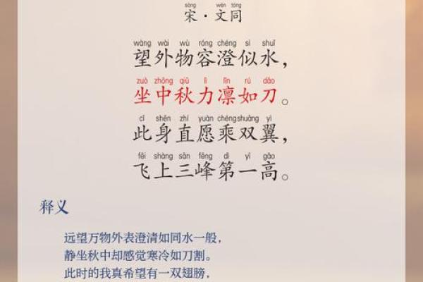 中秋：赏月品饼，寄托思乡之情