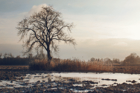 拉马丹：禁食与冥想，领悟内心平静