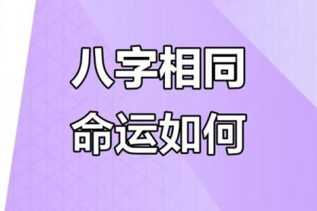 八字命理中的暗藏玄机：你忽视的命运真相