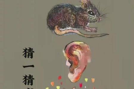 老鼠命理中的命运密码：揭开隐藏在八字中的秘密玄机