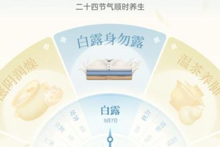 白露：秋意渐浓，养生调理要点