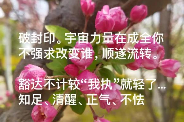 如何改变:突破金木格局限制,开启你的全新人生篇章 如何改变:突破金木格局限制,开启你的全新人生篇章
