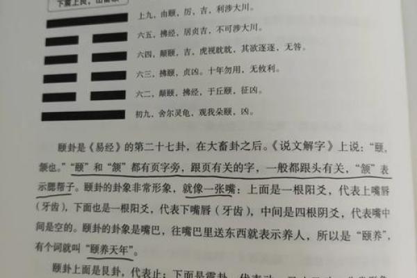 颐的五行格局:揭秘性格解析中的神秘力量 颐的五行格局:揭秘性格解析中的神秘力量