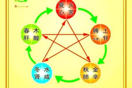 颠覆传统五行性格解析，揭秘你的真实命运走向
