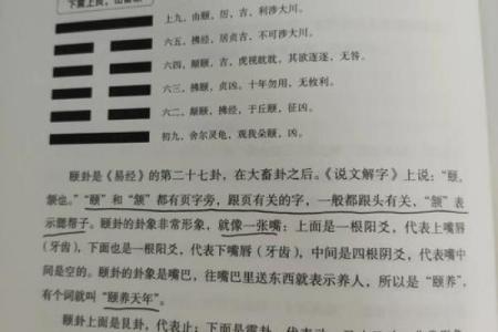 颐的五行格局：揭秘性格解析中的神秘力量